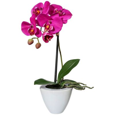 Орхидея в горшке «Фиолетовая»